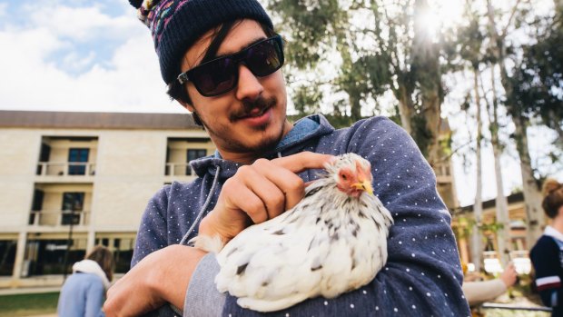 Politics and International Relations student, Alex Shornikov, de-stresses with a chicken.