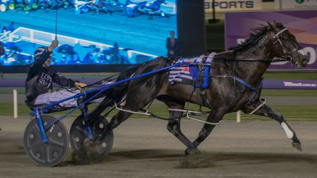 Needs a miracle: Lazarus wins the Inter Dominion final but he will need to create history to win the Miracle Mile at Menangle on Saturday.