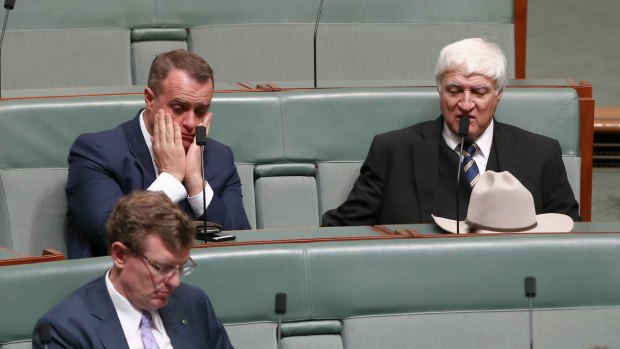Gay Liberal MP Tim Wilson, a plebiscite sceptic-turned-enthusiast, sat next to Queensland's maverick Bob Katter during the vote.