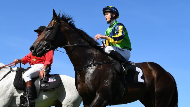 Primed: Tivaci will look to complete his career with a group 1 win at Randwick on Saturday. 