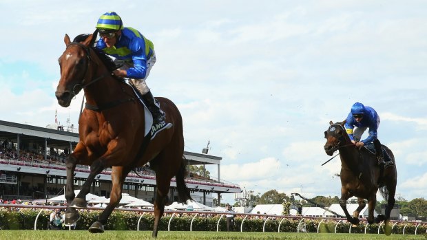 The one to give Maher some Sydney joy? Jameka will contest the Vinery Stud Stakes.