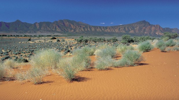 The view from Leigh Creek Road, Flinders Ranges, South Australia. 