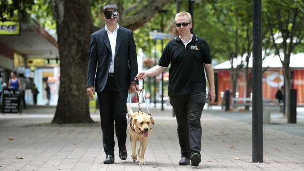 Shadow Disability Minister Andrew Wall is guided by Guide Dogs ACT/NSW research officer Patrick Shaddock and Keno.