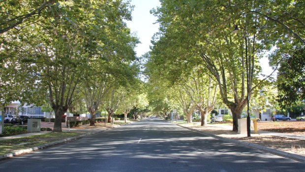 The leafy suburb of South Perth has been the scene of a protracted planning battle. 