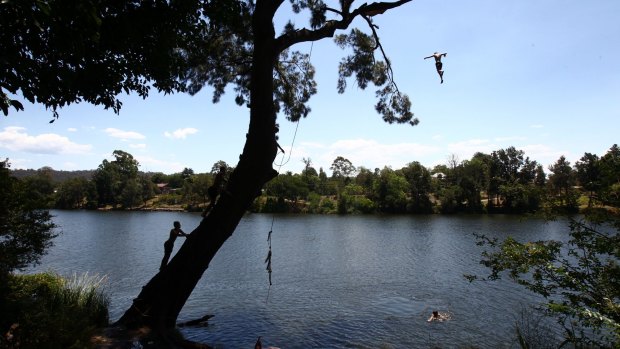 Boys swing from a rope swing on the Nepean River as the mercury hit 42 in Penrith on Saturday.