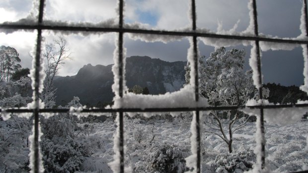 The view through a lattice of snow .