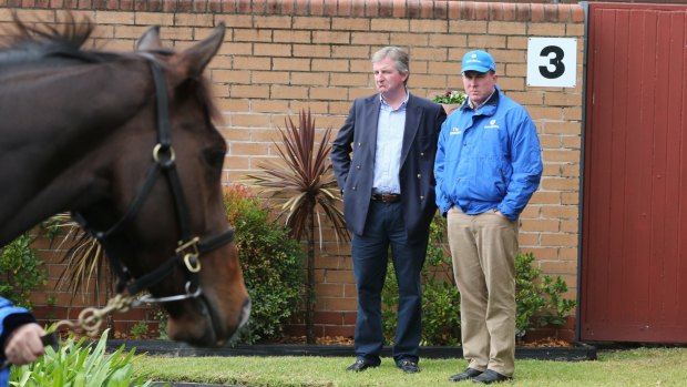 Boys in blue: Godolphin chief executive John Ferguson is delighted with the work done by  Australian trainer John O'Shea.