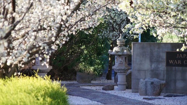 Blossoms illuminate the Japanese War Cemetery in  Cowra.
