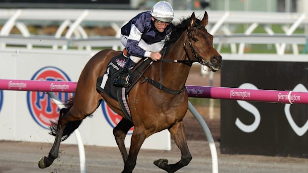 Damien Oliver rides Almandin to victory in the Japan Racing Association Trophy at Flemington. The horse is again highly fancied to win the Melbourne Cup. 