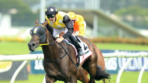 Big thrill: Jockey Josh Parr rides In Her Time to win the Millie Fox Stakes at Rosehill Gardens.
