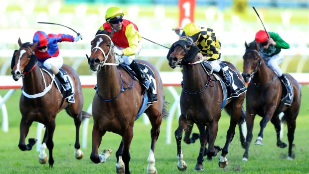 Best filly in the country?: Omei Sword wins at Randwick in August.