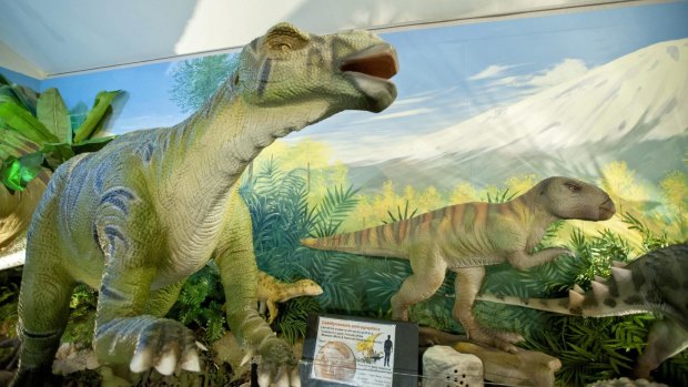 You can touch a genuine 150 million-year-old dinosaur bone at National Dinosaur Museum.