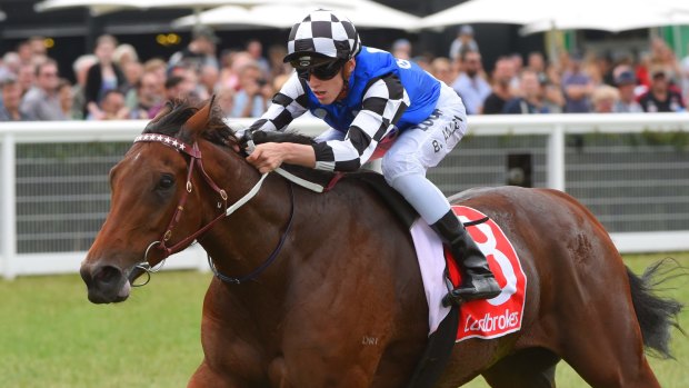 On the rise: Big Duke was  dominant in his victory at Caulfield. 