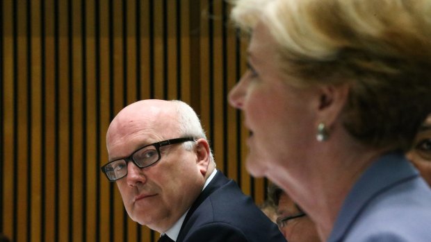 Attorney-General Senator George Brandis and Human Rights Commission president Gillian Triggs during a Senate hearing in Canberra.
