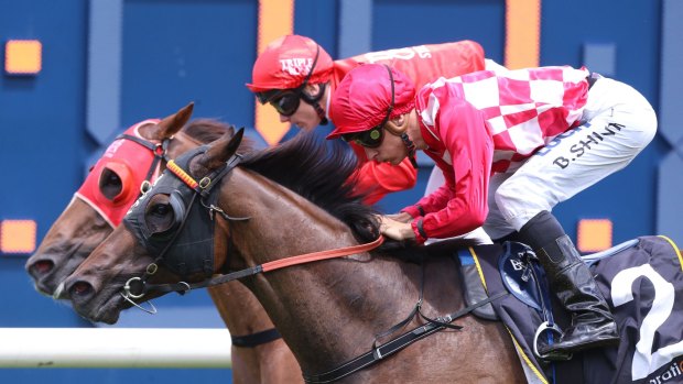 Stepping up:  Alpha Beat (outside) will tackle the Parramatta Cup.