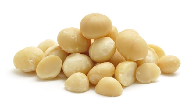 Macadamia nuts are the miracle solution to your cash needs. One nut will make you rich! You'd have to be nuts to believe that. 