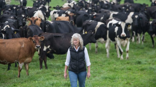 The price cut is "a big kick in the guts" says dairy farmer Kate Lamb.