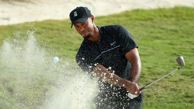 Comeback: Tiger Woods hits from a greenside bunker on the 14th during round one of the Hero World Challenge at Albany, The Bahamas.