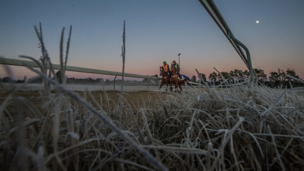 There's been plenty of frost on the field this week at Canberra's Thoroughbred Park race course
