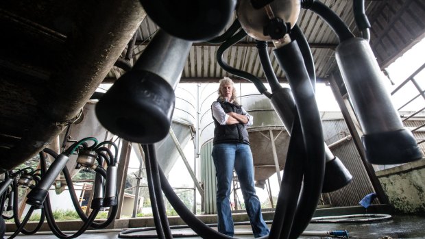 Gippsland dairy farmer Kate Lamb's family has supplied Murray Goulburn with milk for decades. 