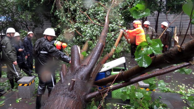 Workers cut apart a fallen tree after Typhoon Chan-Hom passed over in Ningbo, Zhejiang province on Saturday.