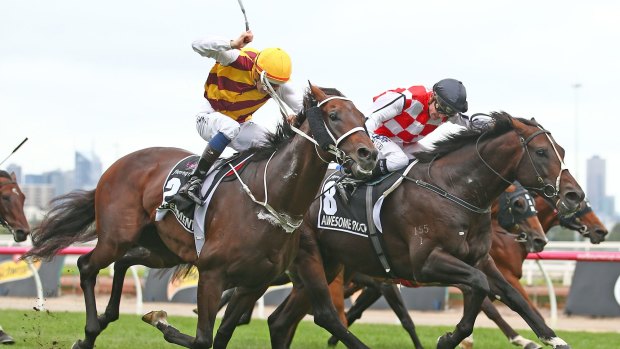 Tough day: Awesome Rock (black cap) and Preferment battle it out in the Australian Cup before the former lost it on protest.