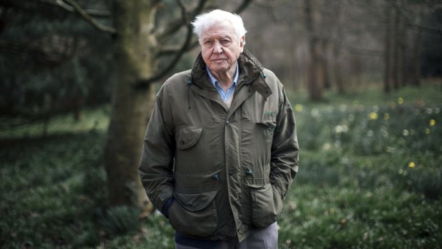 Sir David Attenborough narrates Climate Change: The Facts.