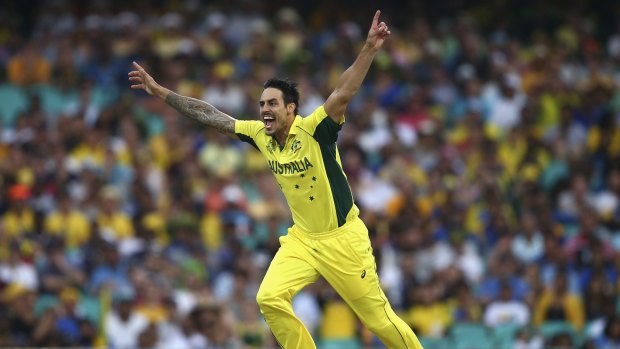Mitchell Johnson questions whether batsmen will resort to the long handle now that the knockout stage of the World Cup has been reached.