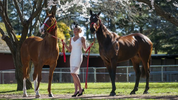 The face of Canberra Racing, Kate Speldewinde, is ready to spring into action with Barbara Joseph and Paul Jones' Girl's Own and Just a Blur.