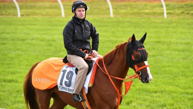 Trackwork: Tommy Berry riding Curren Mirotic. Japanese turnover on the Cup was $87 million.