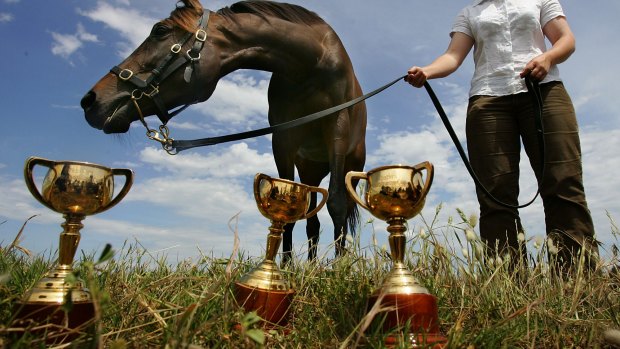 Champion: Just like Melbourne Cup winner Makybe Diva, super funds have enjoyed their third good year.