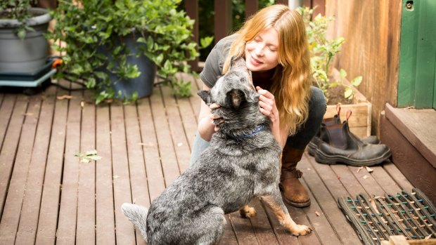 Smudge, played by Tia the cattle dog, has a moment with Emma Booth in the TV series Glitch. 