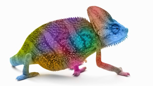 The next time you're trying to impress a hiring manager or the object of your affection, try subtly mimicking the way they're sitting and speaking — they will probably like you more. Scientists call it the "chameleon effect".