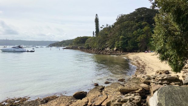 Sydney's Hermitage Foreshore Track is one of the city's great coastal walks.
