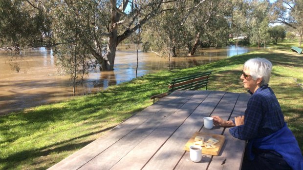Sally Perry looks at the floodwaters from her garden in Forbes. 