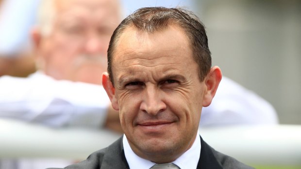 Food for thought: Champion trainer Chris Waller prefers his horses to come from behind.