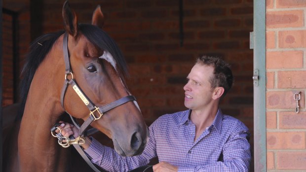 Canberra-based trainer Matthew Dale.