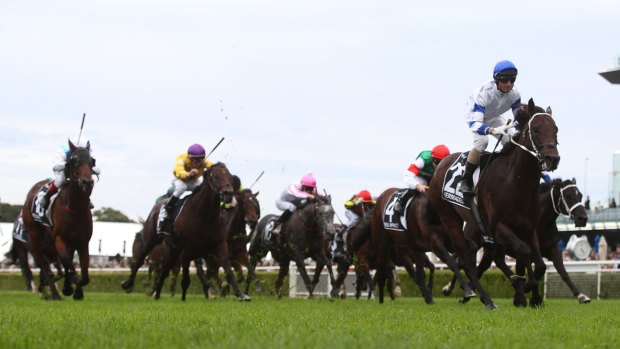 The future of racing tax revenues is up for debate.