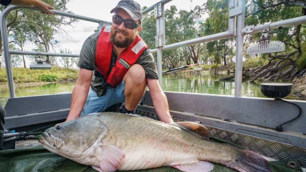 Research scientist Jarod Lyon with a Murray Cod caught during monitoring activities in North West Victoria.