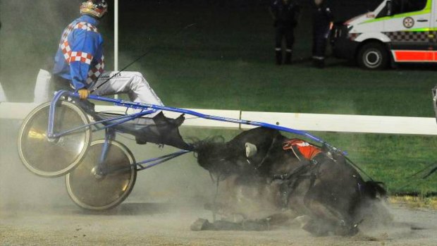 Crash landing: Jovial Rock takes a nasty fall at the Breeders Plate in 2016.