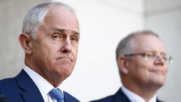 Prime Minister Malcolm Turnbull and Treasurer Scott Morrison have said the parliament will vote to back in the survey result.
