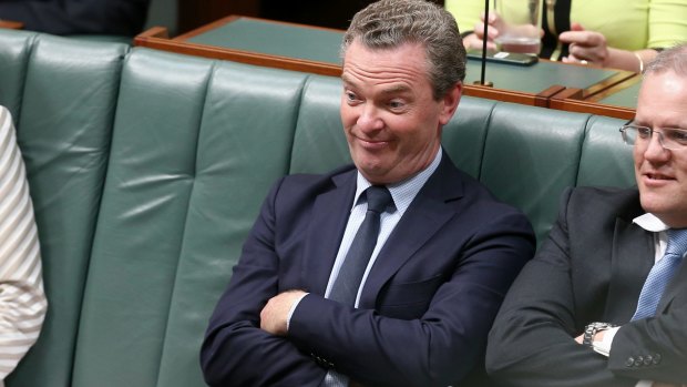 You couldn't kill me with an axe": Christopher Pyne during question time on Tuesday.