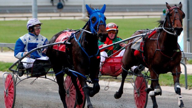 Police searched properties at five locations across south-east Queensland while investigating alleged match-fixing in the harness racing industry.