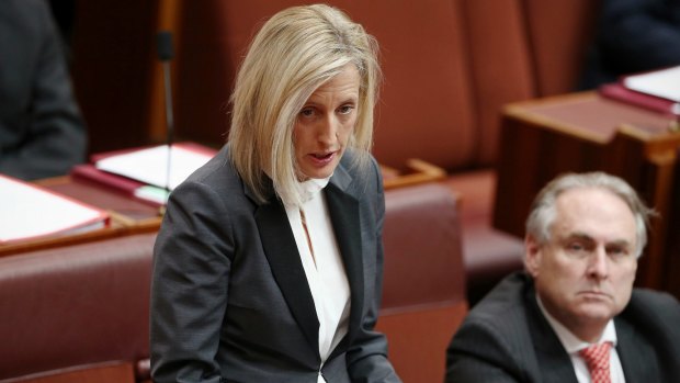 Senator Katy Gallagher's citizenship, which is being examined by the High Court, sparked an ACT inquiry into senate nominations, now complete.