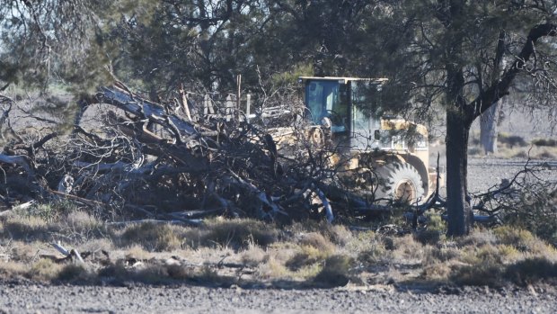 Removing trees along the Newell Highway in the state's far north.