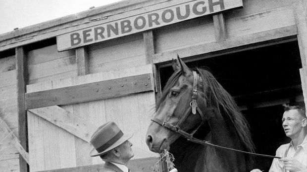 One of the best: The mighty Bernborough narrowly won the Chipping Norton Stakes in 1946. 