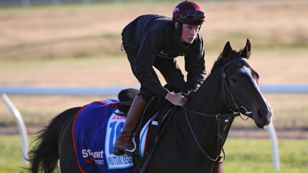 Mutual Regard works out at Werribee.