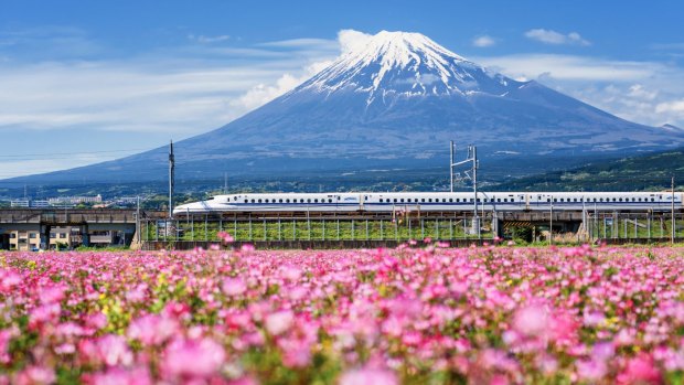 A Shinkansen train whizzes by Mt Fuji.