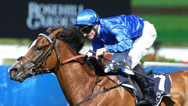 Favourite: Godolphin's Hartnell is at the top of betting for Saturday's Chelmsford Stakes.