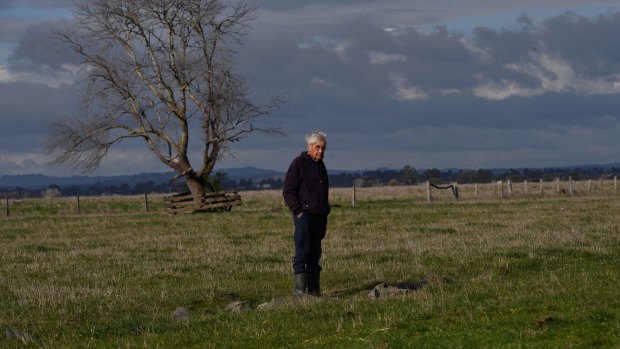 Robert on the edge of the grassed over airstrip. 